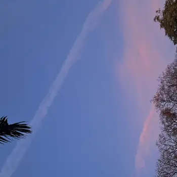 Vaibhav srivastava home tutor From Aashiana Lucknow