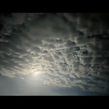 Utsah Singh  Tutor From Husainabad Lucknow