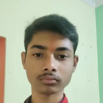 Ansh singh Biology Home Tutor in Purania Lucknow with 4 Years Experience