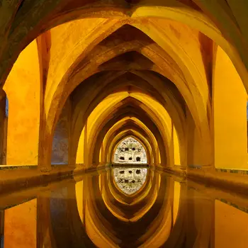 Sanchit Pandey English Home Tutor in Vineet Khand Gomti Nagar Lucknow with 3 Years Experience