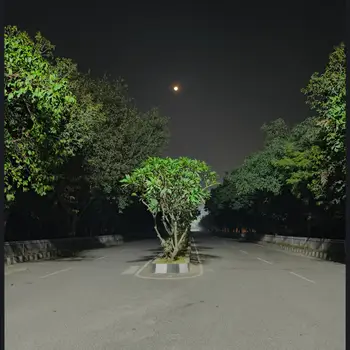 ARPITA SINGH English Home Tutor in South City Lucknow with 1 Years Experience